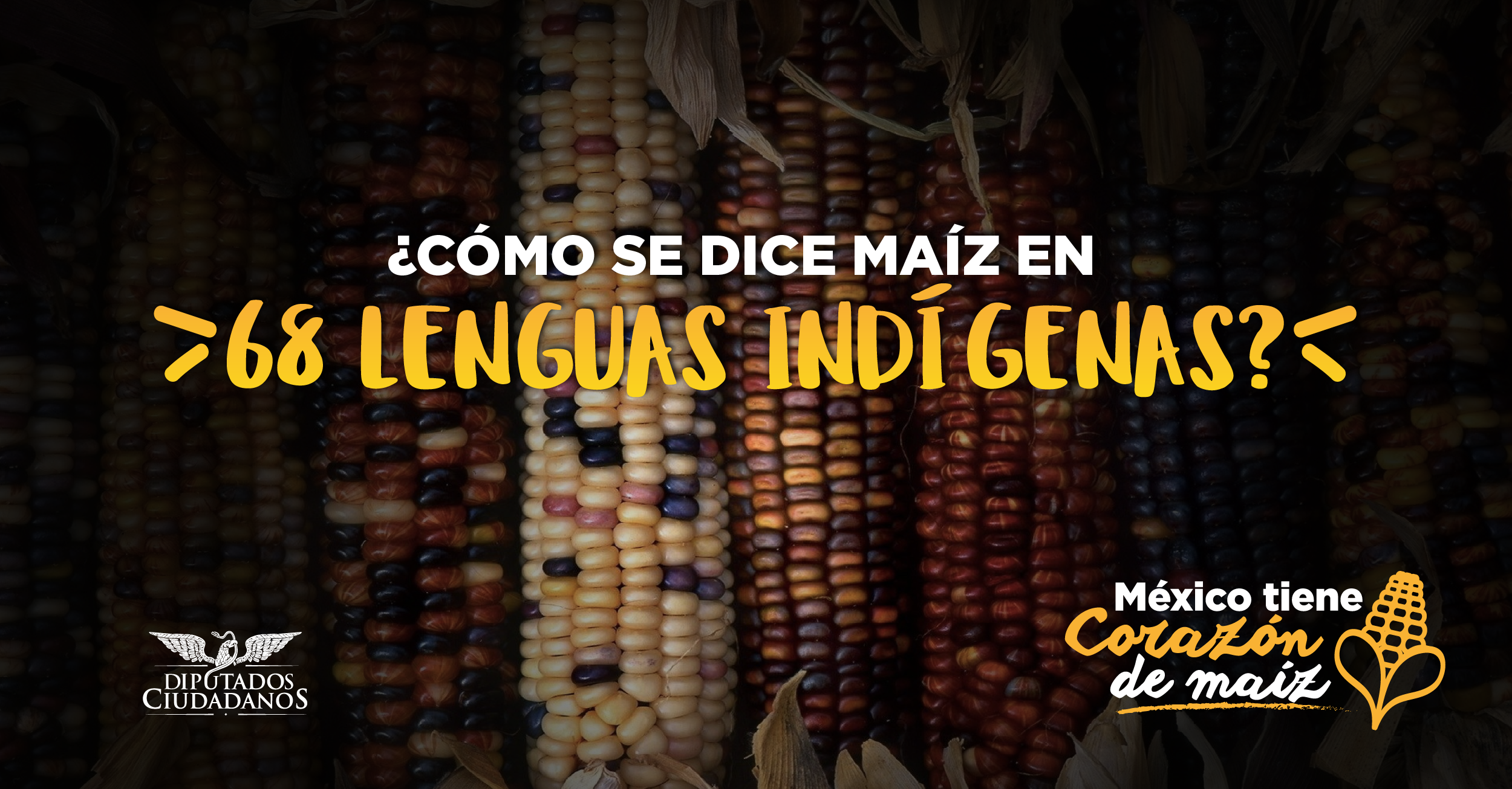 Así se dice maíz en las 68 lenguas indígenas de México | Bancada Naranja